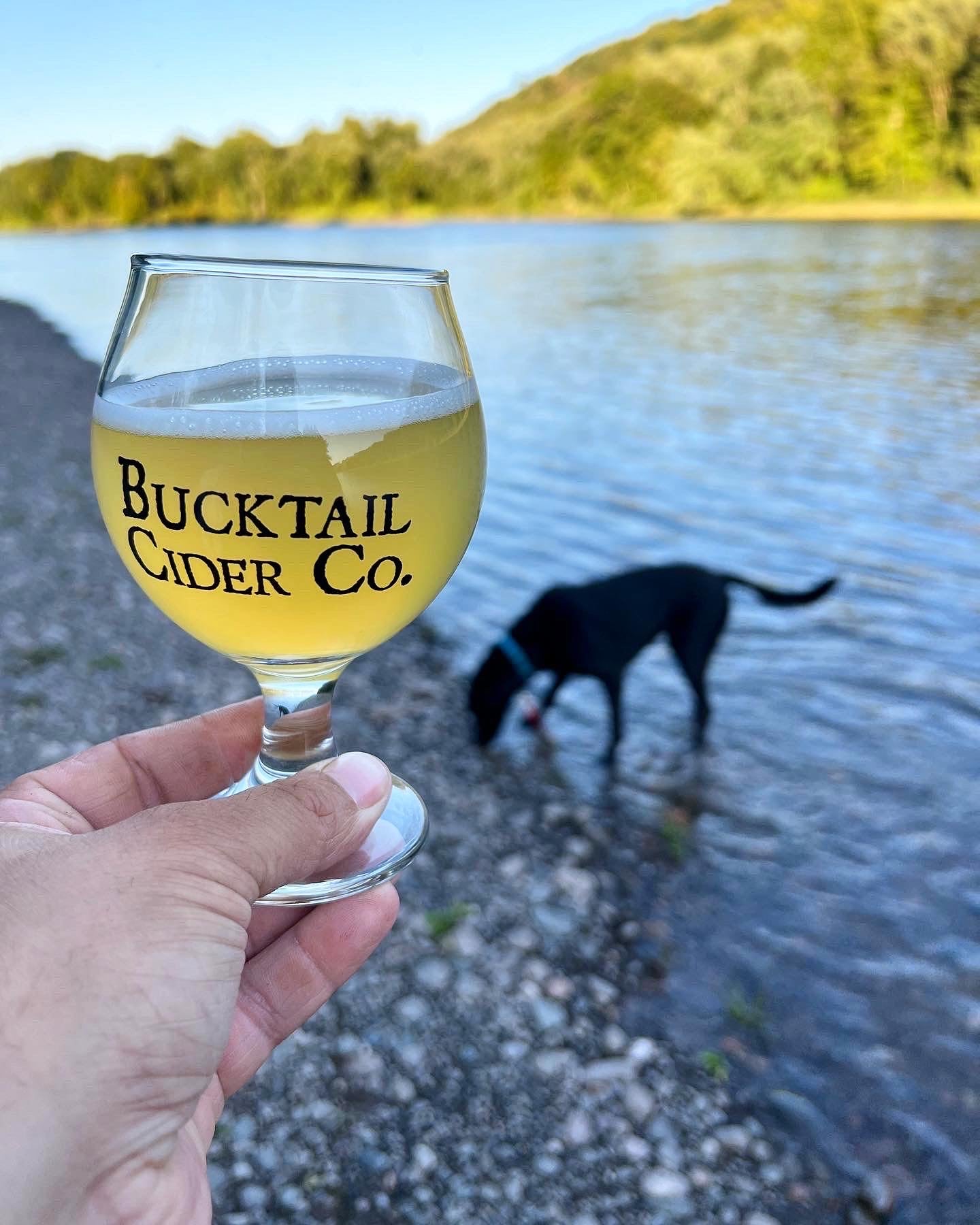 Bucktail Cider Glasses